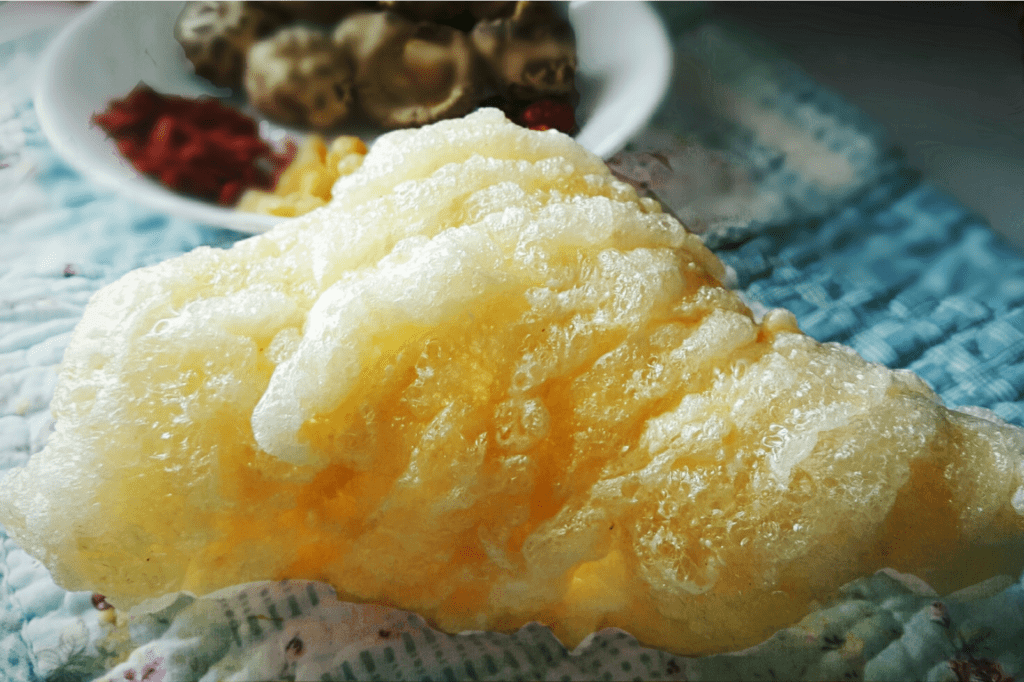 fish maw