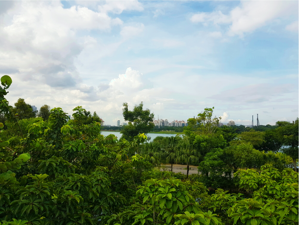 Far East Organisation Children's Garden
Gardens by the Bay playground 