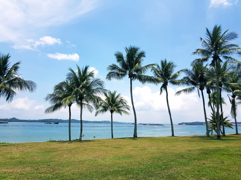 Pasir Ris Park Playground 