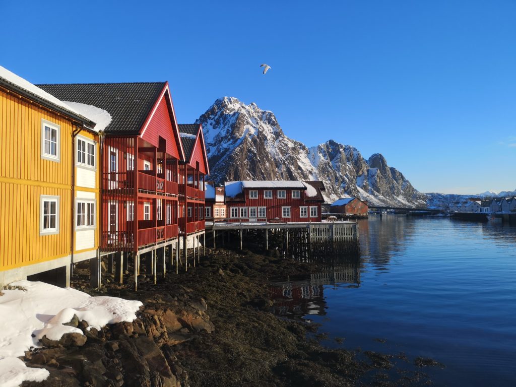 red cabin in Lofoten 