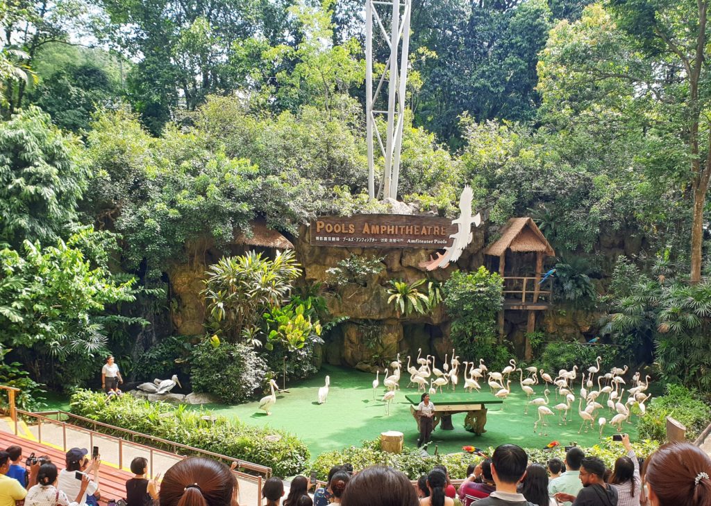 Jurong Bird Park