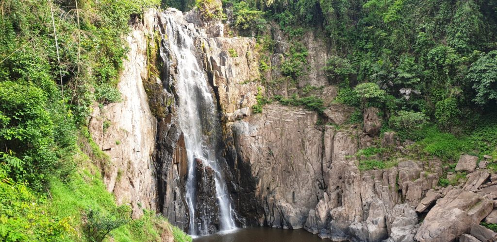 Khao yai national park