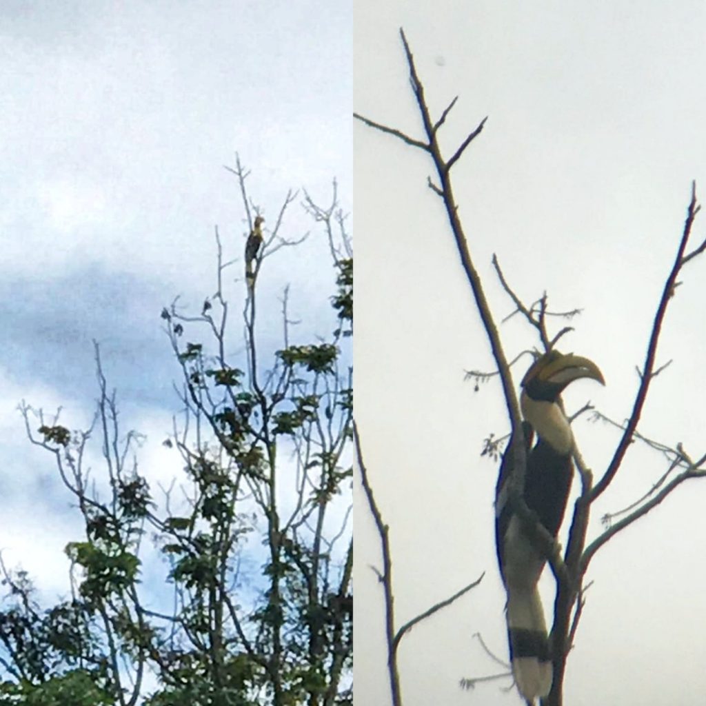 Khao yai national park