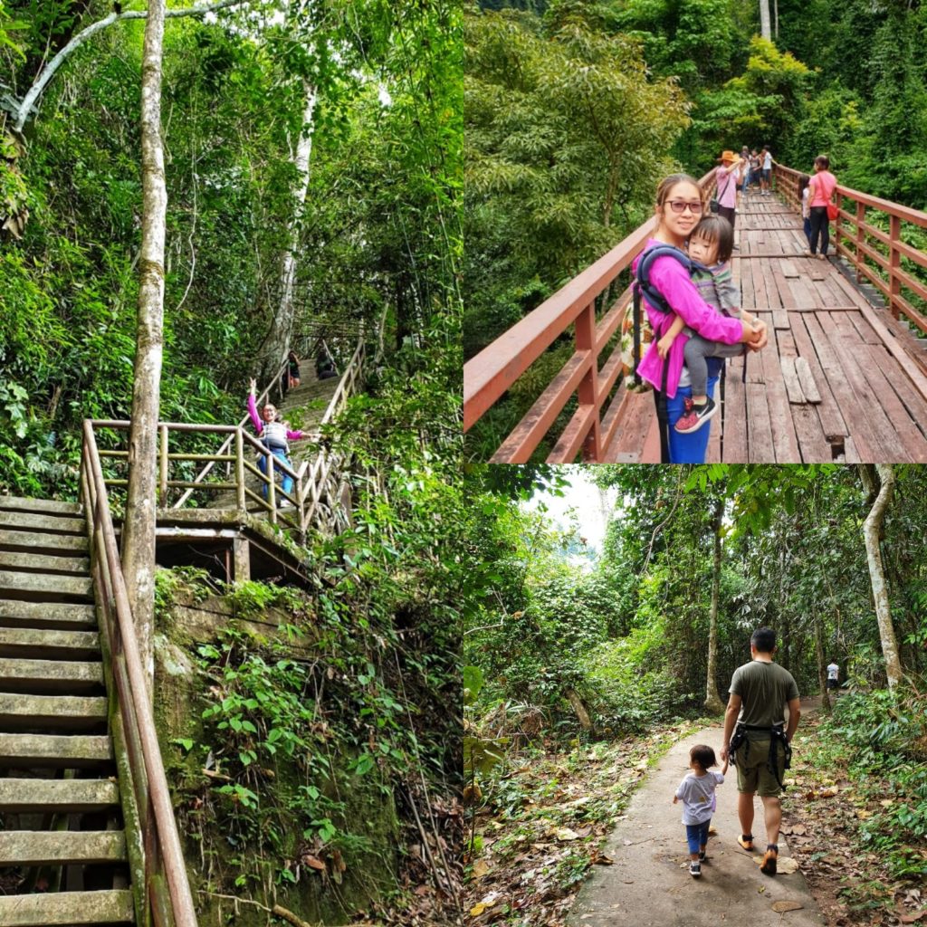 Khao yai national park