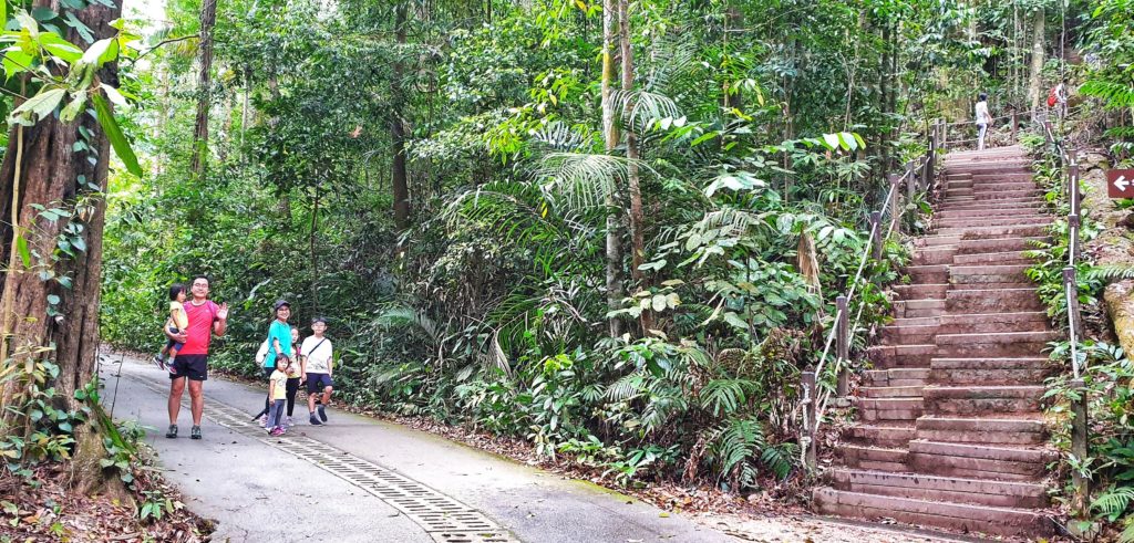 Bukit Timah Hill Summit