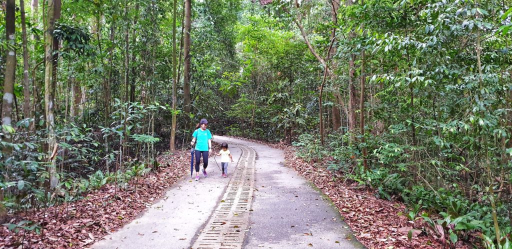 Bukit Timah Hill Summit