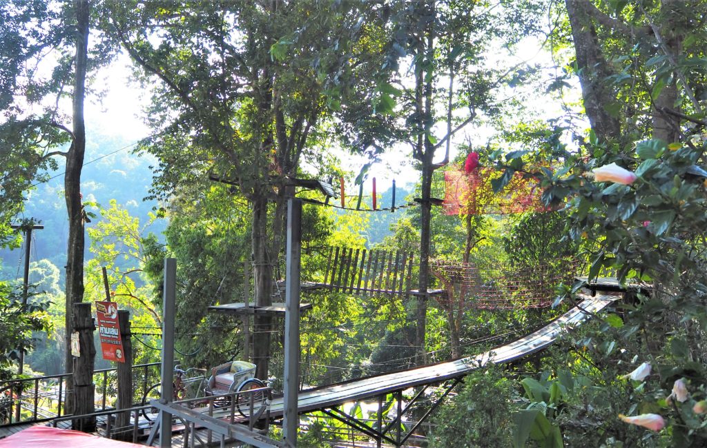 Pong Yang Jungle Coaster
