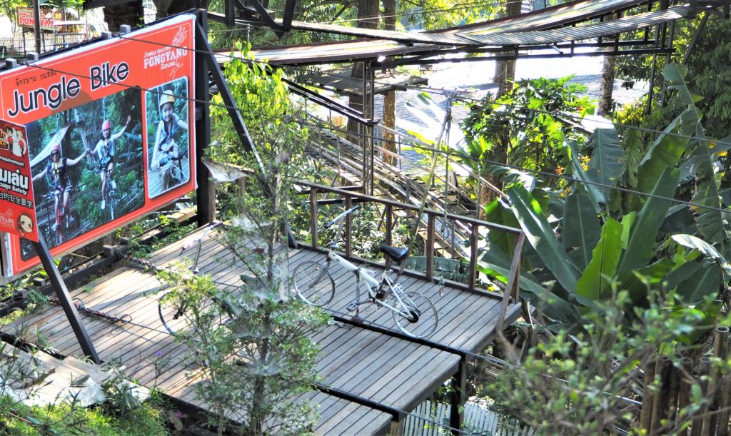 Pong Yang Jungle Coaster