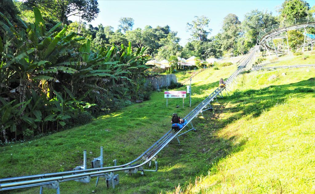 Pong Yang Jungle Coaster