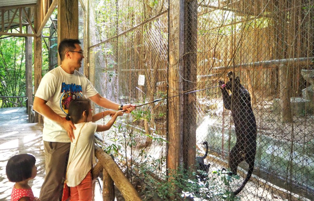 Chiang Mai Zoo