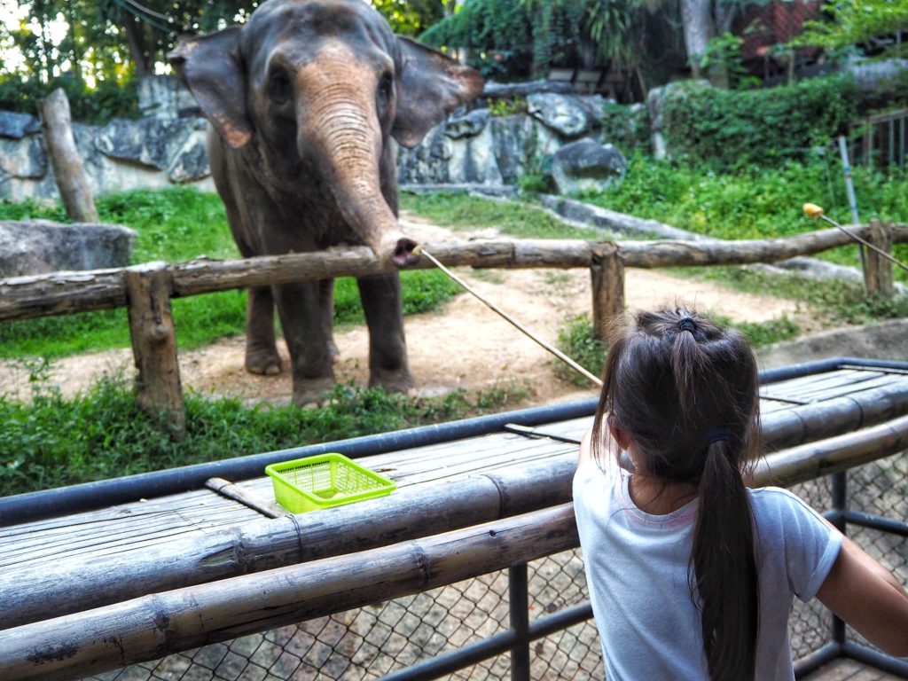 Chiang Mai Zoo