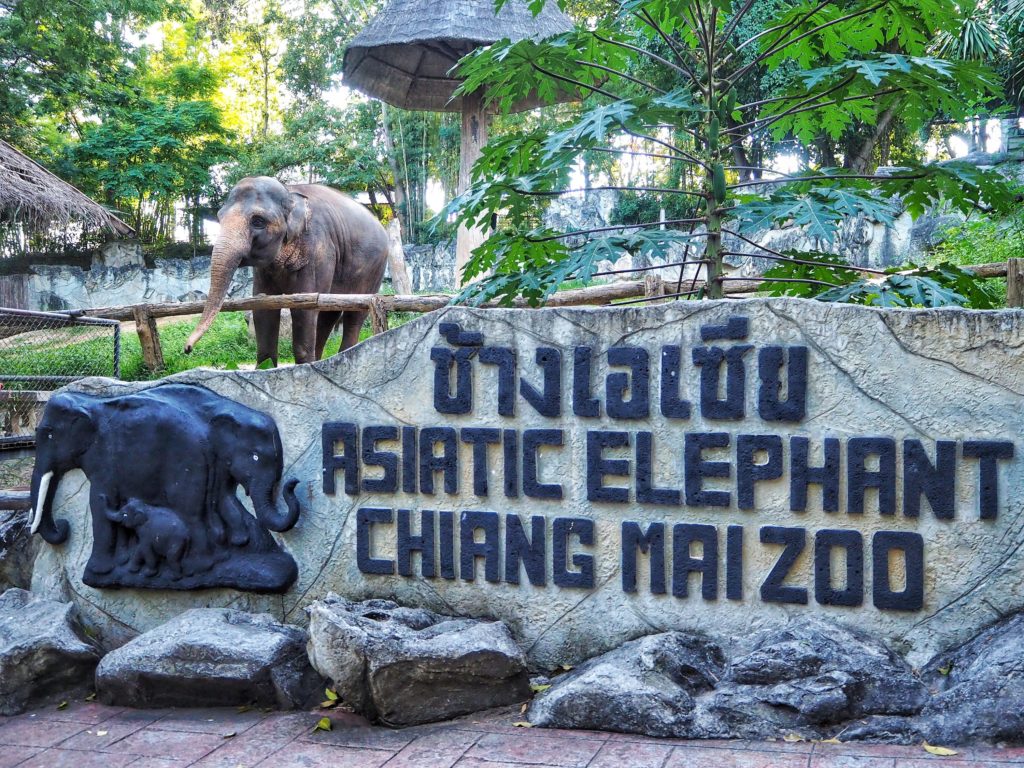 Chiang Mai Zoo