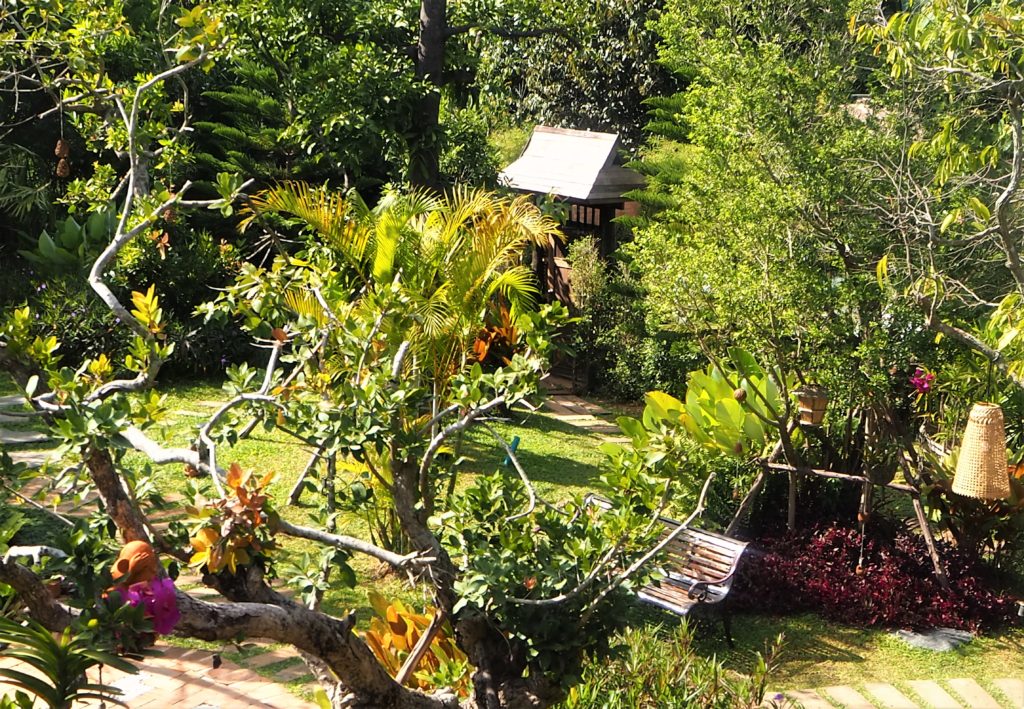 Chiang Mai restaurants