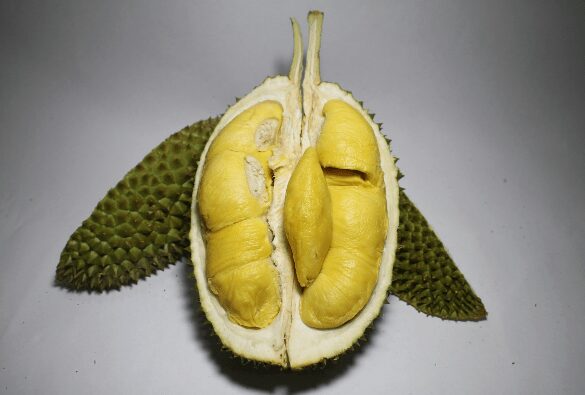 8 Durian