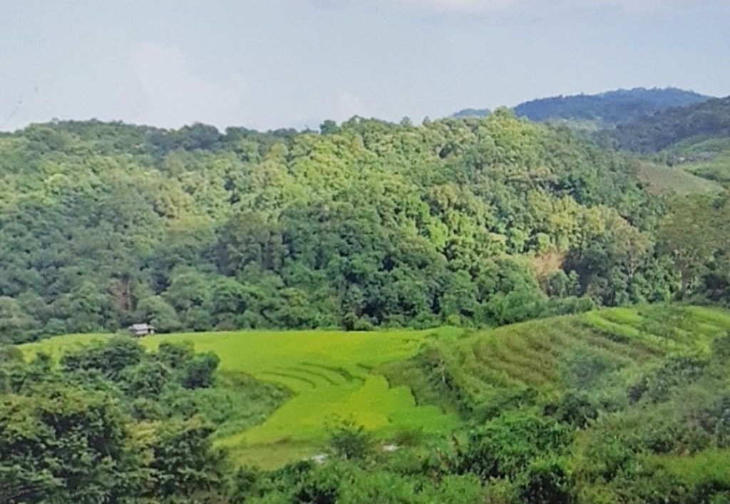 Chiang Mai with Kids