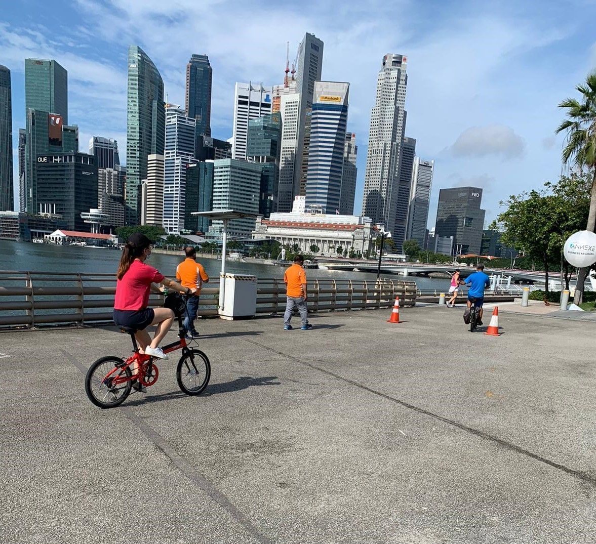 lion city bike tour