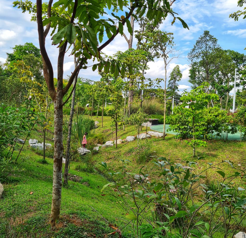 forest ramble playground jurong lake garden