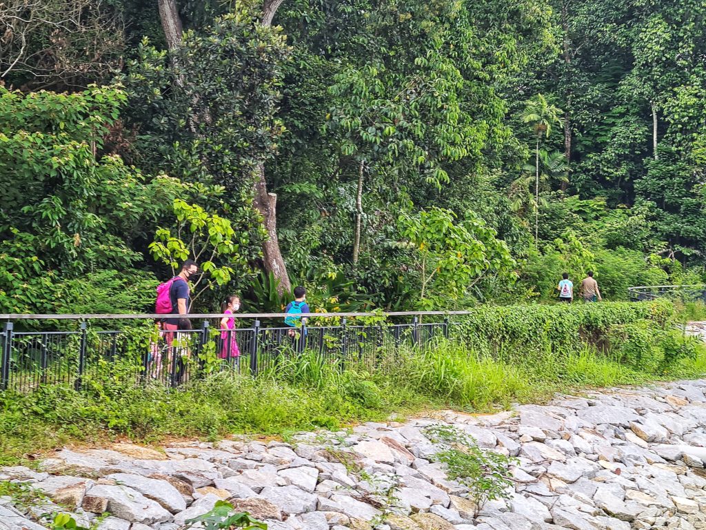 Sungei Buloh Wetland Reserve