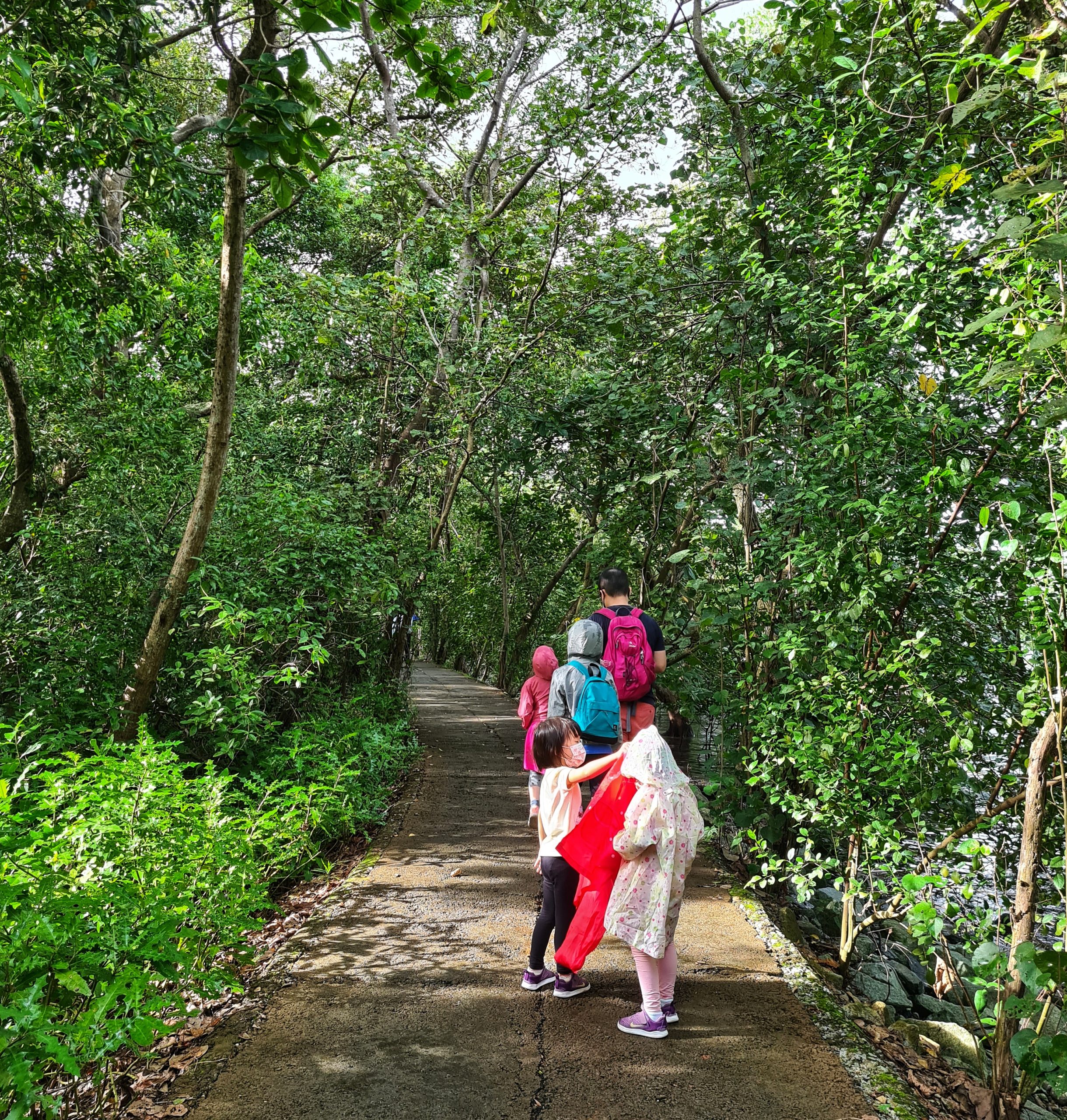 Sungei Buloh Wetland Reserve