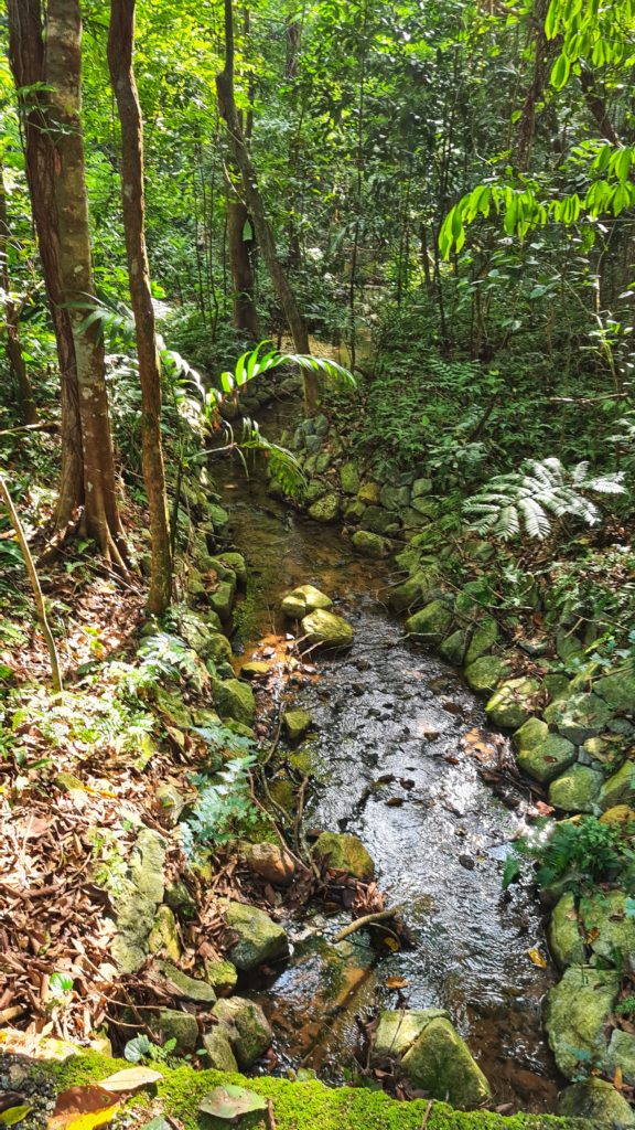 Thomson Nature Park