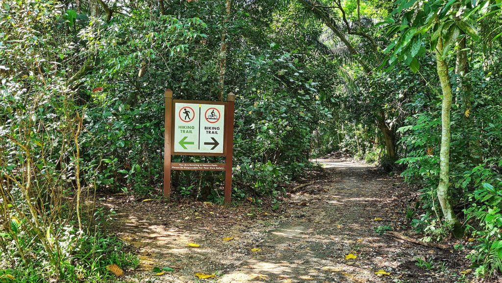 chestnut nature park
