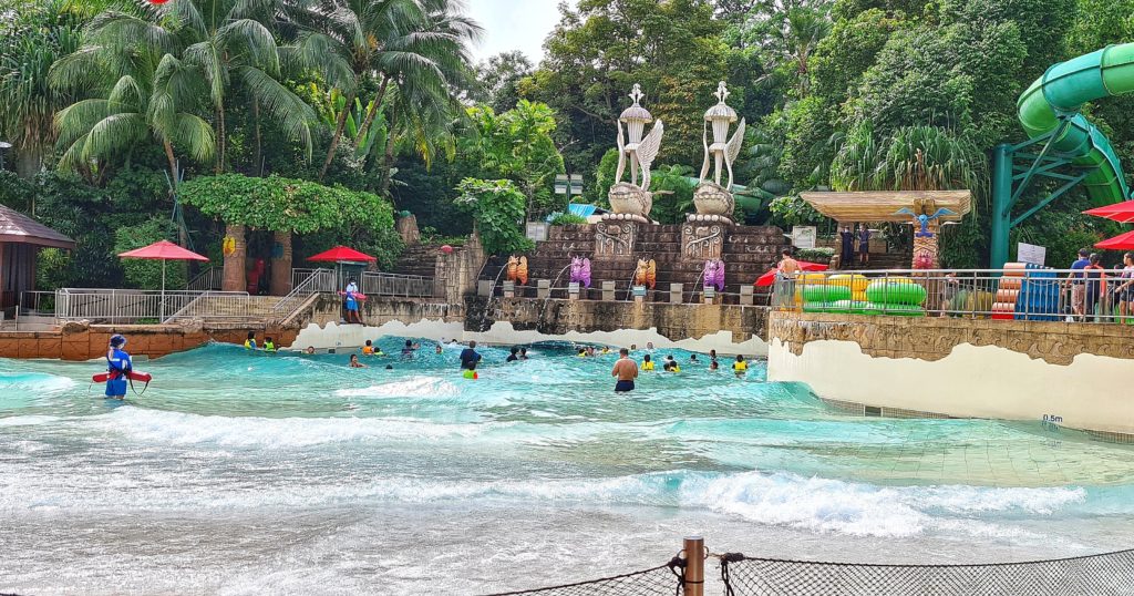 adventure cove waterpark kids