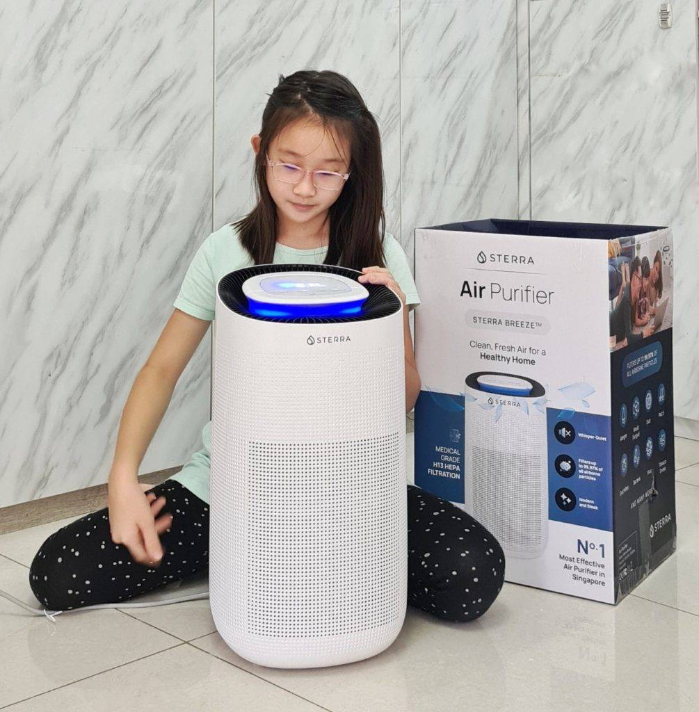 Sterra Breeze Air Purifier Review