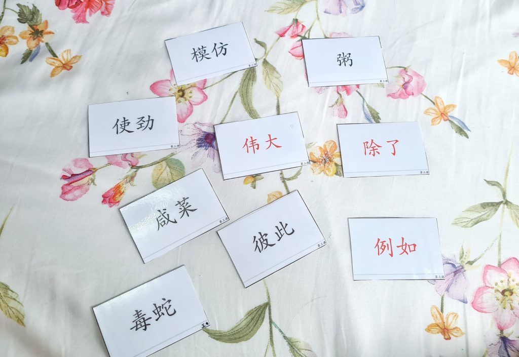 Primary 6 Chinese Flashcards