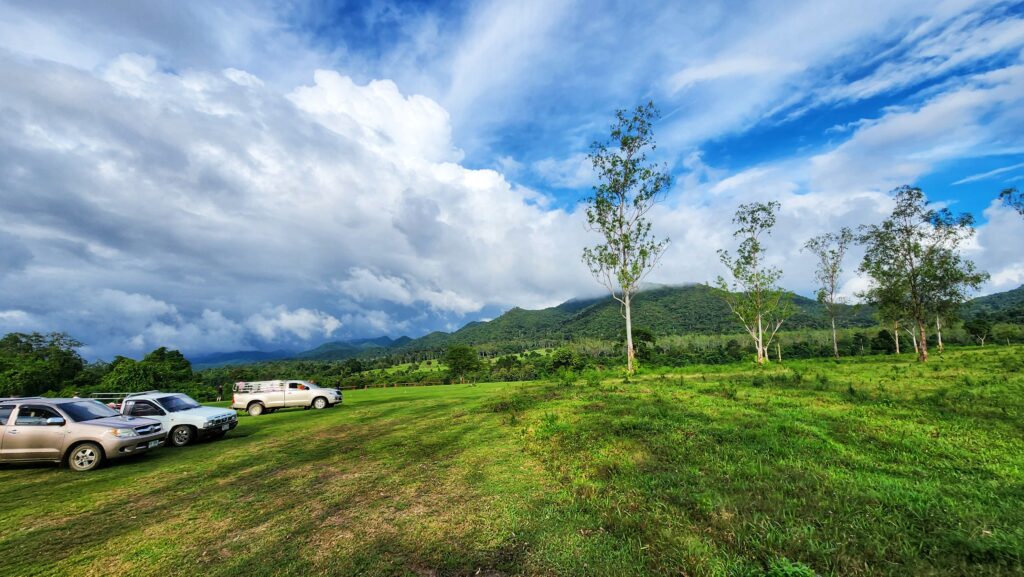 hua hin with kids Kui Buri Elephant Safari 