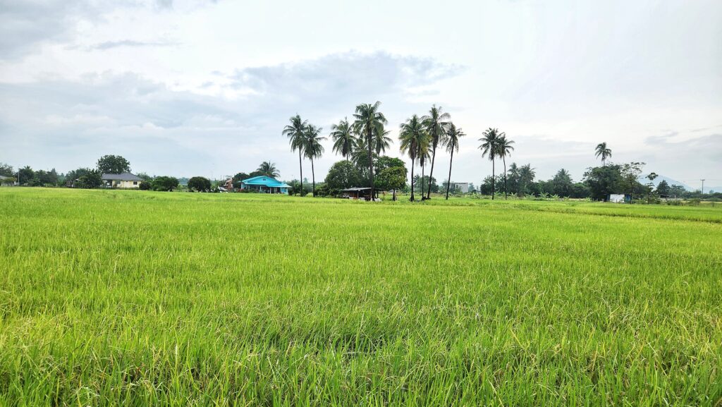 Cha-Am ATV Park